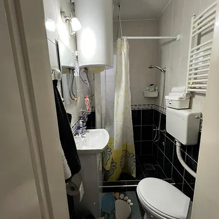 Apartament Dida Ledine