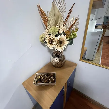 Dida Ledine * بلغراد